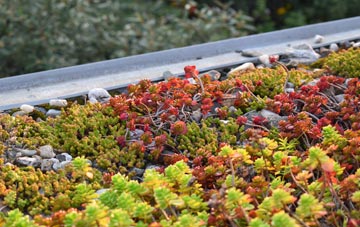 the cost of Pipewell green roof installation